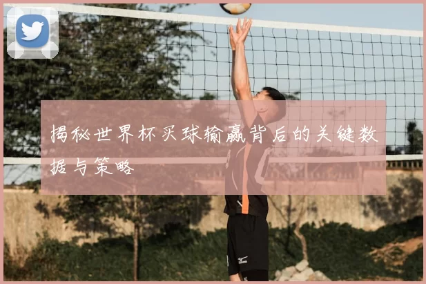 揭秘世界杯买球输赢背后的关键数据与策略