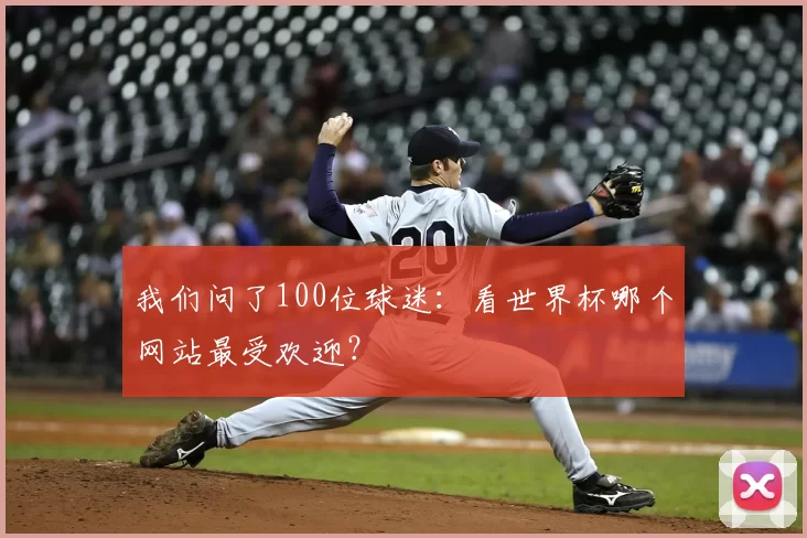 我们问了100位球迷：看世界杯哪个网站最受欢迎？