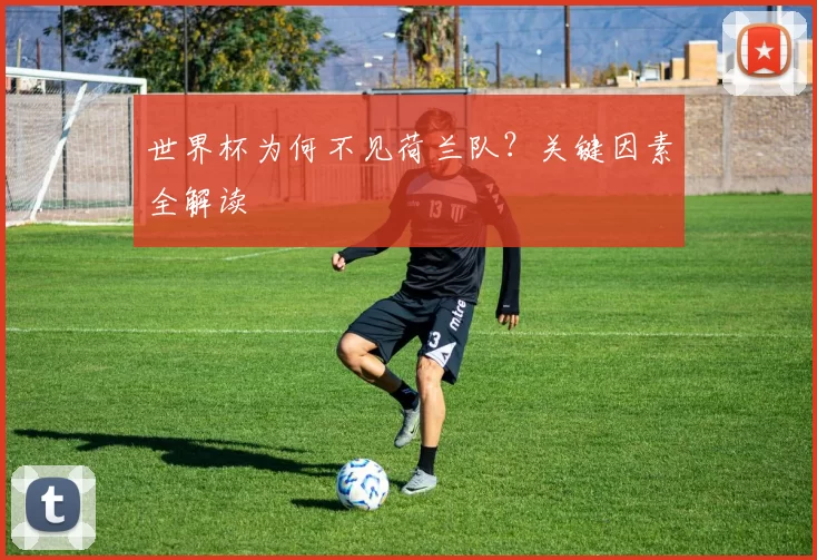 世界杯为何不见荷兰队？关键因素全解读