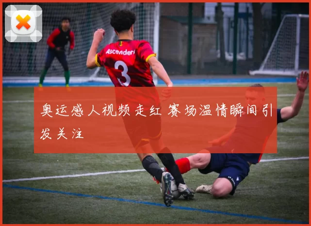 奥运感人视频走红 赛场温情瞬间引发关注