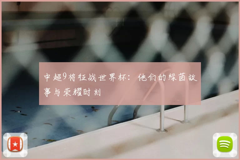 中超9将征战世界杯:他们的绿茵故事与荣耀时刻