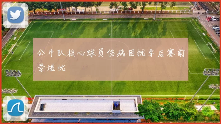公牛队核心球员伤病困扰季后赛前景堪忧