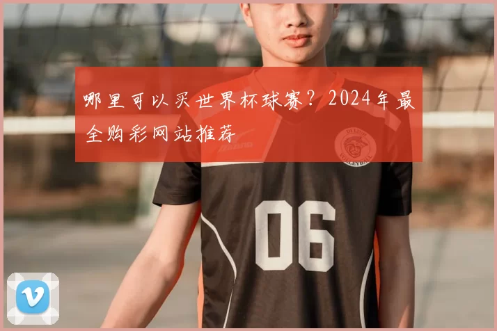 哪里可以买世界杯球赛？2024年最全购彩网站推荐