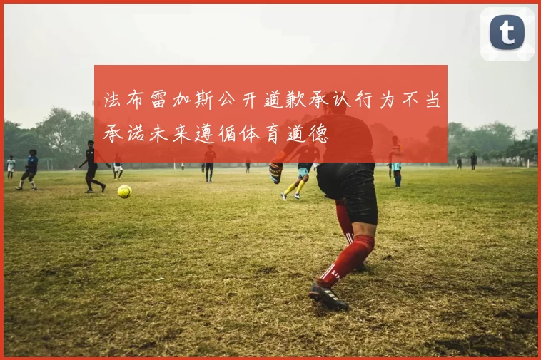 法布雷加斯公开道歉承认行为不当承诺未来遵循体育道德